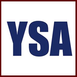Yagnesh Shah & Associates